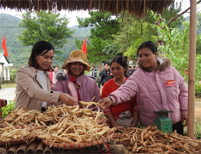 Kon Tum: Thành lập Hợp tác xã dược liệu du lịch liên tỉnh ở xã đặc biệt khó khăn (08/8/2022)